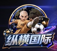 纵横国际